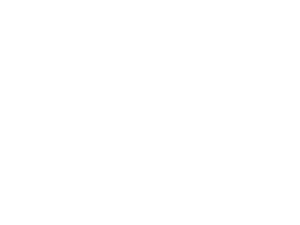 Logo Nodusoja